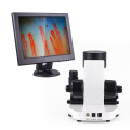 12Inch blood capillary microcirculation microscope